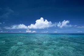 特朗普下台后会坐牢吗？图片