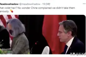 被吐槽的紫发女竟是美国总统首席翻译！但权威人士说她水平并不糟图片