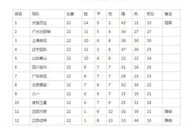 1994甲A元年各队大名单图片