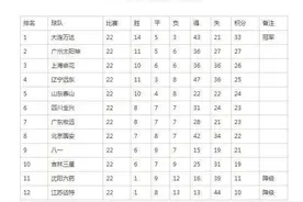 1994甲A元年各队大名单图片