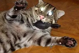 现在社会上，还有多少傻帽男人在干这件事儿？图片