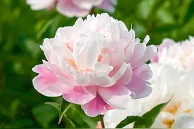 郑州十大五一旅游热门景点， 郑州五一去这些地方景美又好玩图片