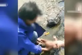 幼童吃泔水与流浪狗同住 官方介入！图片