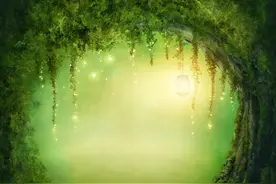 《森林狂想曲》第一缕晨光，含笑而来图片