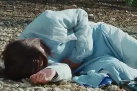 隋唐大医禅师四祖：传奇医案之蕲艾蒿治烂肠瘟图片