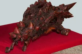 新发现一种神秘的恐龙，酷似传说中的龙，科学家发现背后真相图片