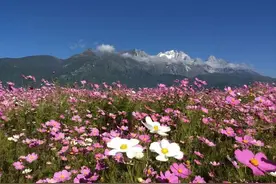西藏启动34个边境村幸福院建设工程图片