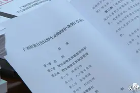 广西拟立法保护野生动物：禁止狩猎和食用图片
