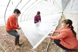地膜“糊”在地上，老师却说不对！那到底该怎么铺地膜？视频封面