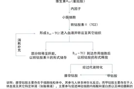 维生素B12缺乏，该如何补充？这篇文章说清了图片