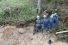 暴雨袭勉县 8万户群众用电受影响 37支电力抢修队伍已恢复6万余户供电图片