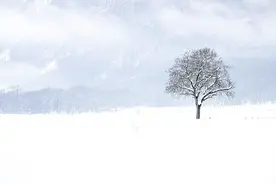 壶中书影 | 杨士奇之敛图片