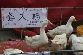 寻找“摊王之王”！西安摆地摊指南来了图片