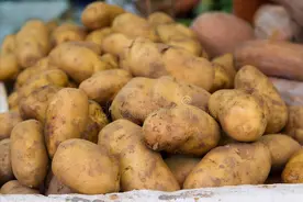 储存土豆有诀窍，分享一个土方法，不变绿不发芽，放一冬天也不坏图片