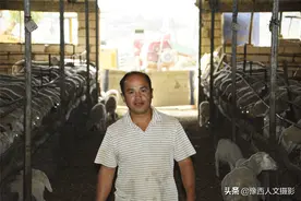 嵩县80后大学生羊倌，最难时卖掉婚房还债，今成山村致富带头人图片