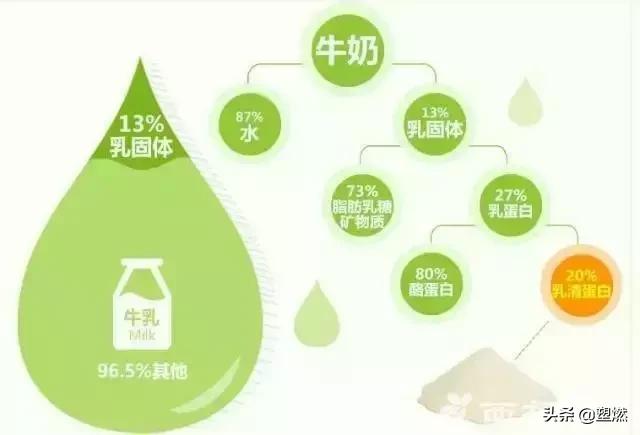 健身补剂No.1“乳清蛋白”和“酪蛋白”有什么区别和优势