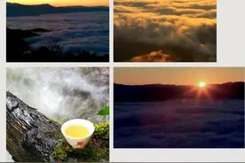 陆羽《茶经》记载“茶者，紫为上”“上者生烂石”的古树紫芽茶图片