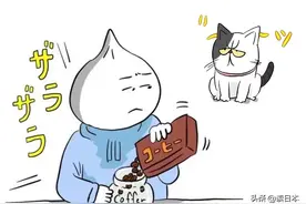 亮仔丨日本小伙在中国的养猫趣事图片