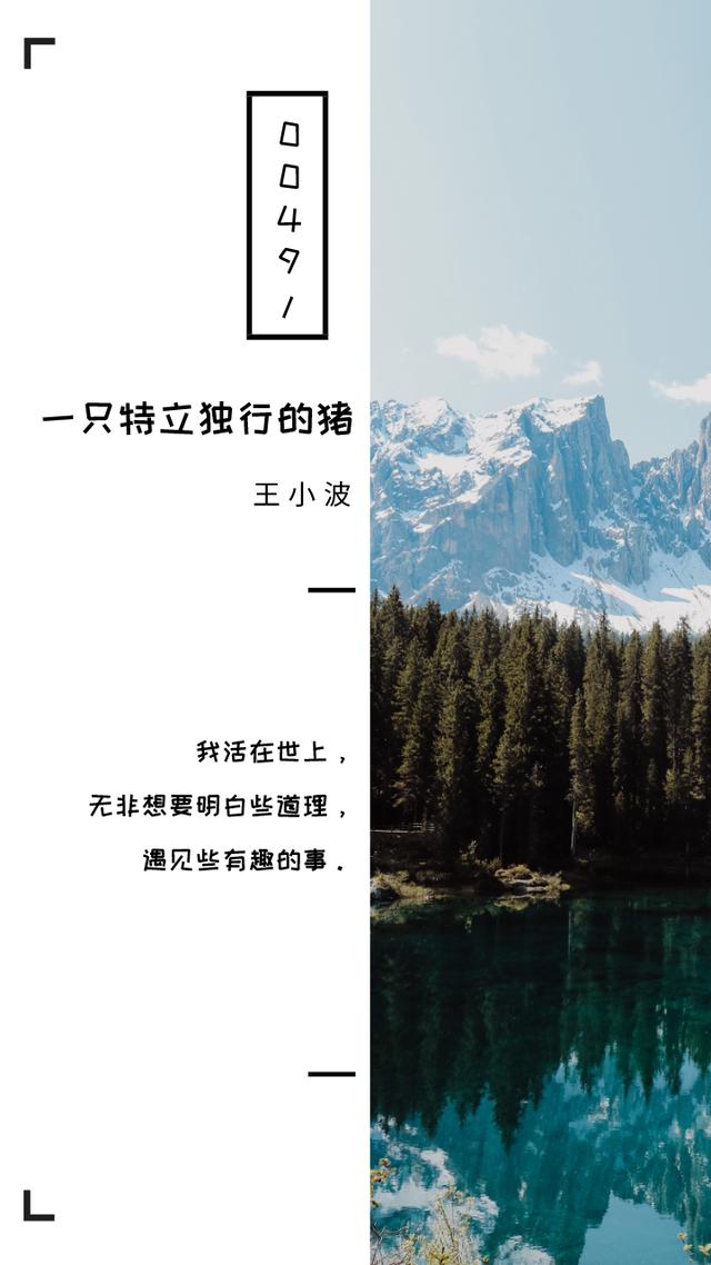 《一只特立独行的猪》十句经典句子