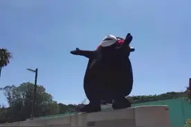 超级烦人的开屏广告，没了图片