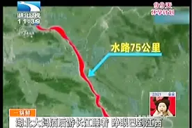 湖北大妈酒后游长江睡着 经水路75公里 睁眼已到江西视频封面