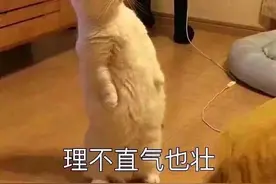 玩手游总是有人搭讪问你要联系方式到底是干什么的呢？图片