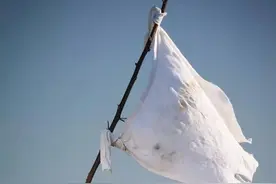 首战即是终战！台军白色大裤衩已备好，解放军如果打过来立马投降图片