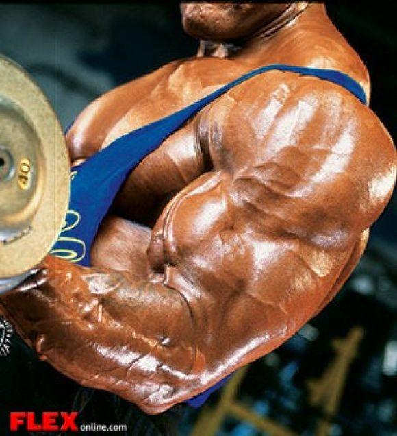 銆婂仴浣撱€嬪仴缇庤€呯殑鏀摼姘ㄥ熀閰镐娇鐢ㄦ寚鍗? onerror=