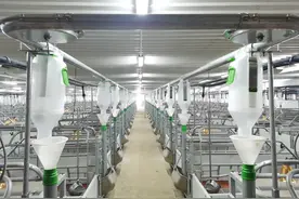 18家！南宁市第一批生猪定点屠宰企业名单出炉~图片