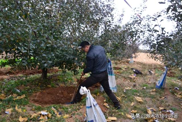 鍚屾牱鏄爱鑲ワ紝灏跨礌銆佺⒊閾点€佹隘鍖栭摰銆佺閰搁摰绛夊浣曟纭寫閫変笌浣跨敤锛? onerror=