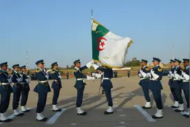 “北非之狐”阿尔及利亚，军事装备兼顾实用与可靠，北非独树一帜图片