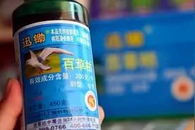 广东女孩喝下100毫升农药，抢救17天得救，细说百草枯的危害图片