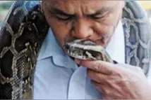 独臂老人与蟒蛇同住山洞，采药只为养蟒蛇，土罐里煎中药，慢慢熬图片
