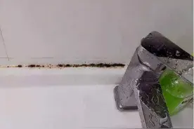 卫生间玻璃胶发黑，保洁阿姨教你这样做，处理完和新的一样图片