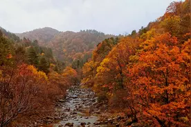 风景绝美，红叶叫板京都！秦岭深处黄柏塬徒步路线攻略图片