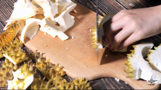 膨鱼腮花胶 膨鱼腮可以吃吗