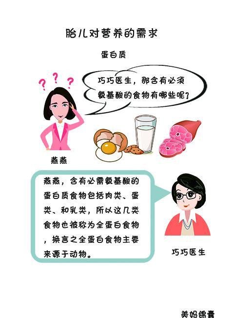 怎样摄取全部的必需氨基酸？