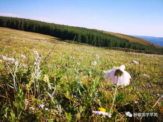 【固阳县】【【殷耀国学】乡土成语妙趣多】