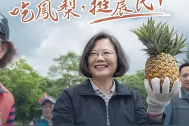 被大陆下达禁令后，台湾菠萝将销往东南亚？无异于把煤炭卖给山西人图片