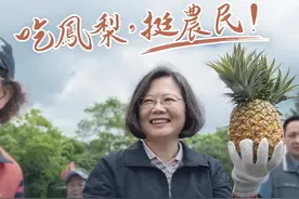 被大陆下达禁令后，台湾菠萝将销往东南亚？无异于把煤炭卖给山西人图片