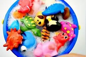 为孩子学习野生动物的名字和颜色，河马鲨鱼老虎犀牛螃蟹！视频封面