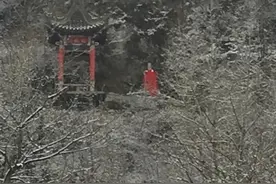 人的命天注定？图片