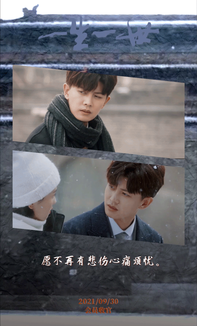 一生一世后续，浮生只合尊前老，雪满长安道