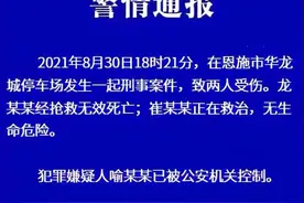 恩施州“首富”华龙城创始人被股东车撞身故的悲剧图片
