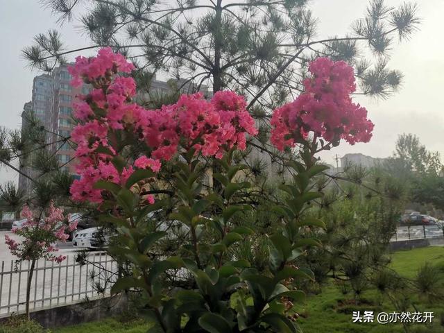 曾国藩:堂堂正正做人,做一个光明磊落的人