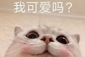 宝，我可以承包你的表情包吗？图片