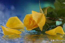 做人，别忘恩负义！帮过我的人，谢谢你！图片