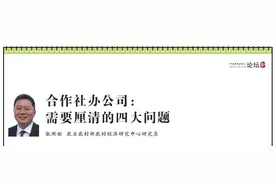 张照新：合作社办公司 需要厘清的四大问题图片