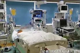 危险危险危险！桂林市民尧山被七斤重眼镜王蛇咬伤图片