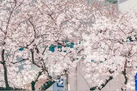 女人这样对你，往往不是喜欢你，而是真的把你当朋友，别不懂图片